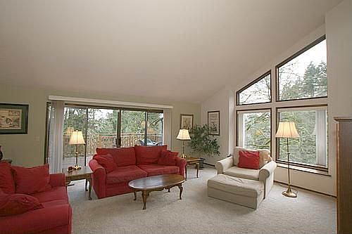 Vaulted Living Room