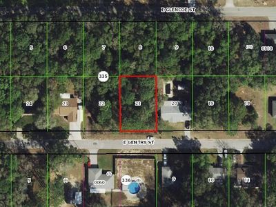 6677 E Gentry St, Inverness, FL, 34452