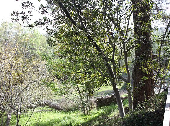 2nd image of 1283 Vista Del Lago