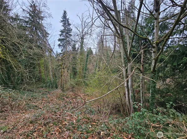 194 XX Forest Park Drive NE, Lake Forest Park, WA 98155