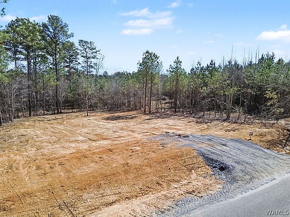 3rd image of LOT 8 John Swindle Rd