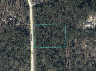 NE 386TH AVENUE LOT 16, OLD TOWN, FL 32680