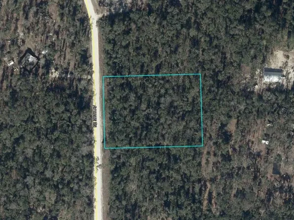 NE 386TH AVENUE LOT 16, OLD TOWN, FL 32680