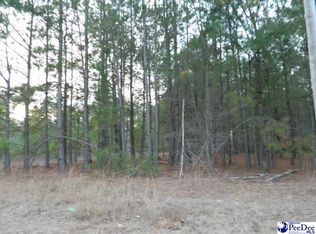 Francis Marion Rd, Pamplico, SC 29583