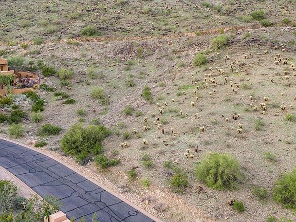 3rd image of 1726 E DESERT WILLOW Drive #7