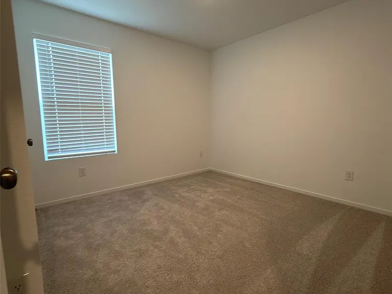 1515 Golden Iris Dr — Photo 10
