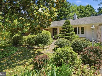 12615 Eastbourne Dr, Silver Spring, MD, 20904