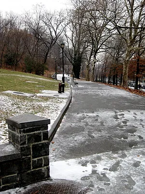 Rented by Bohemia Realty Group | media 9