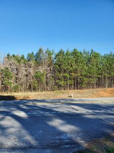 0 Highway 85, Gay, GA, 30218