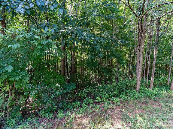 4th image of 0 W Deep Gap Farm Rd #2061