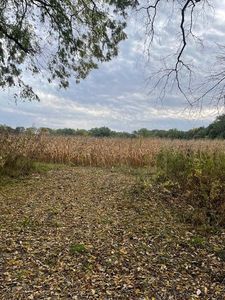 Elbow Lake Rd, Vandalia, MI, 49095