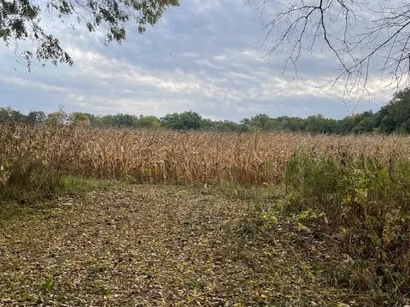 Elbow Lake Rd, Vandalia, MI 49095