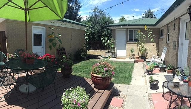 Backyard