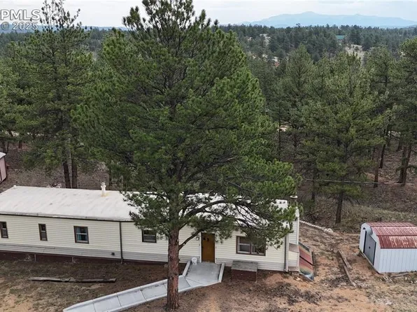 320 Forest Glen Trl, Florissant, CO 80816