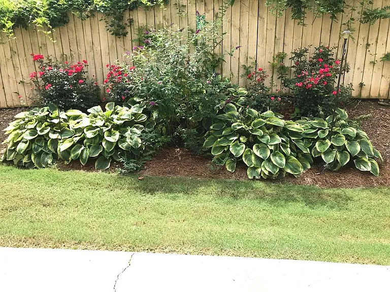 mature garden :)