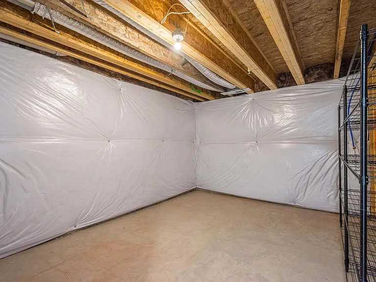 Lower level storage room with ample shelving