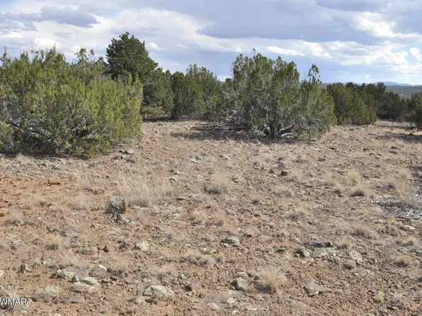 35 County Road 8239 #86, Concho, AZ 85924