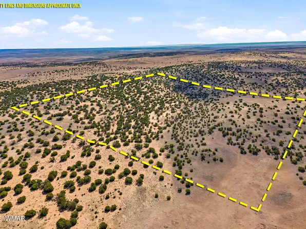 PARCEL 212 Ten #20, Concho, AZ 85924