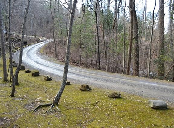 3rd image of 99999 Black Bear Cove Dr
