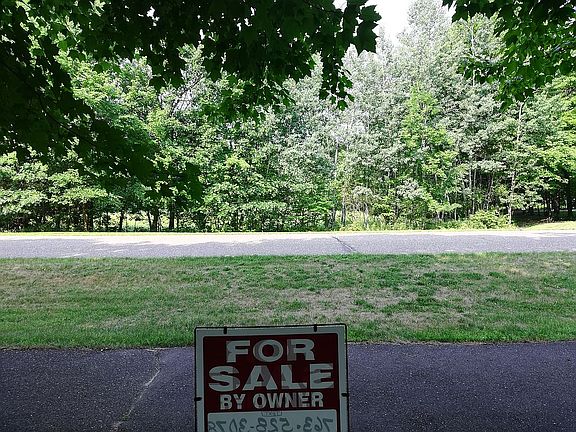 View across lot (wetland)