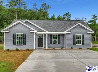 289 Pineneedle Cir, Johnsonville, SC 29555