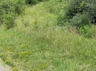 0 Mutton Hollow Rd, Great Valley, NY 14741