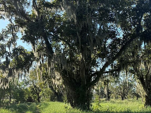2nd image of 0 County Road 13