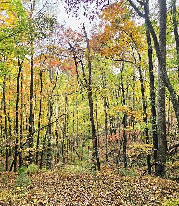 1st image of 0 Rock Creek Rd