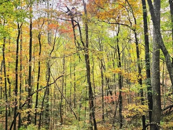 0 Rock Creek Rd, North Wilkesboro, NC 28659