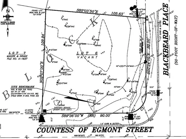 LOT 6 Countess Of Egmont St, Fernandina Beach, FL 32034