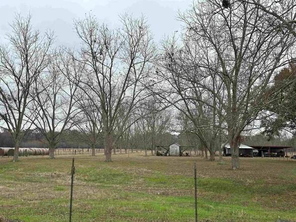 8874 Elton St, Livonia, LA 70755