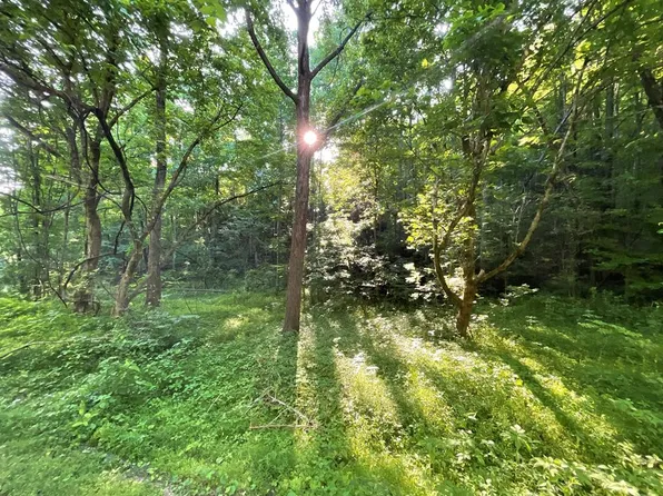 Cartertown Rd, Gatlinburg, TN 37738