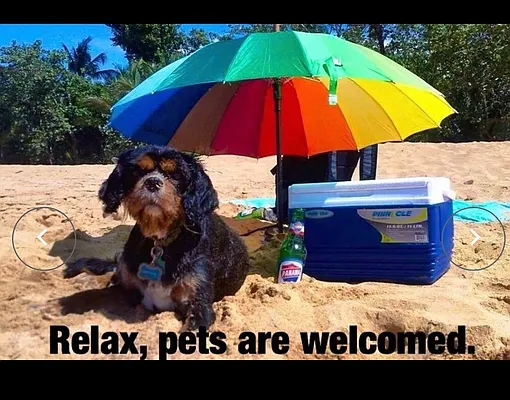 Rented by Mauro Bros Real Estate Services LLC | media 23