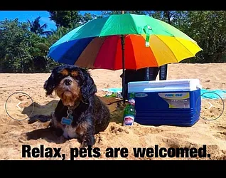 Rented by Mauro Bros Real Estate Services LLC