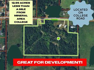 3654 College Rd, Farmington, MO 63640