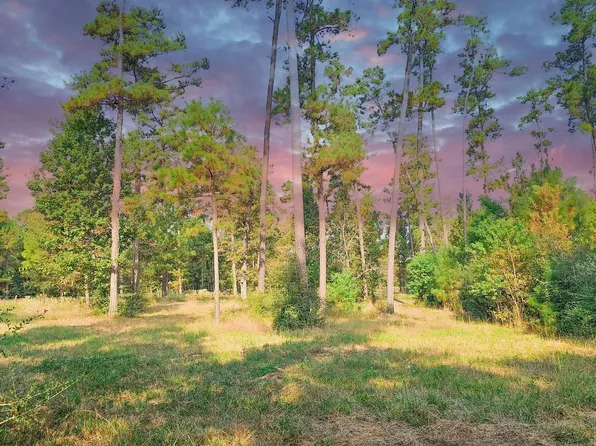 Gregory Ln Lot 15, New Waverly, TX 77358