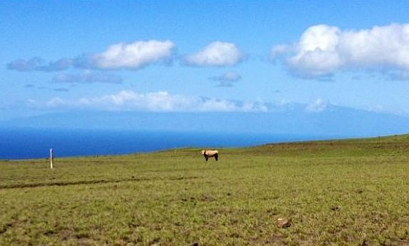 5th image of 59-644 Ualani Pl