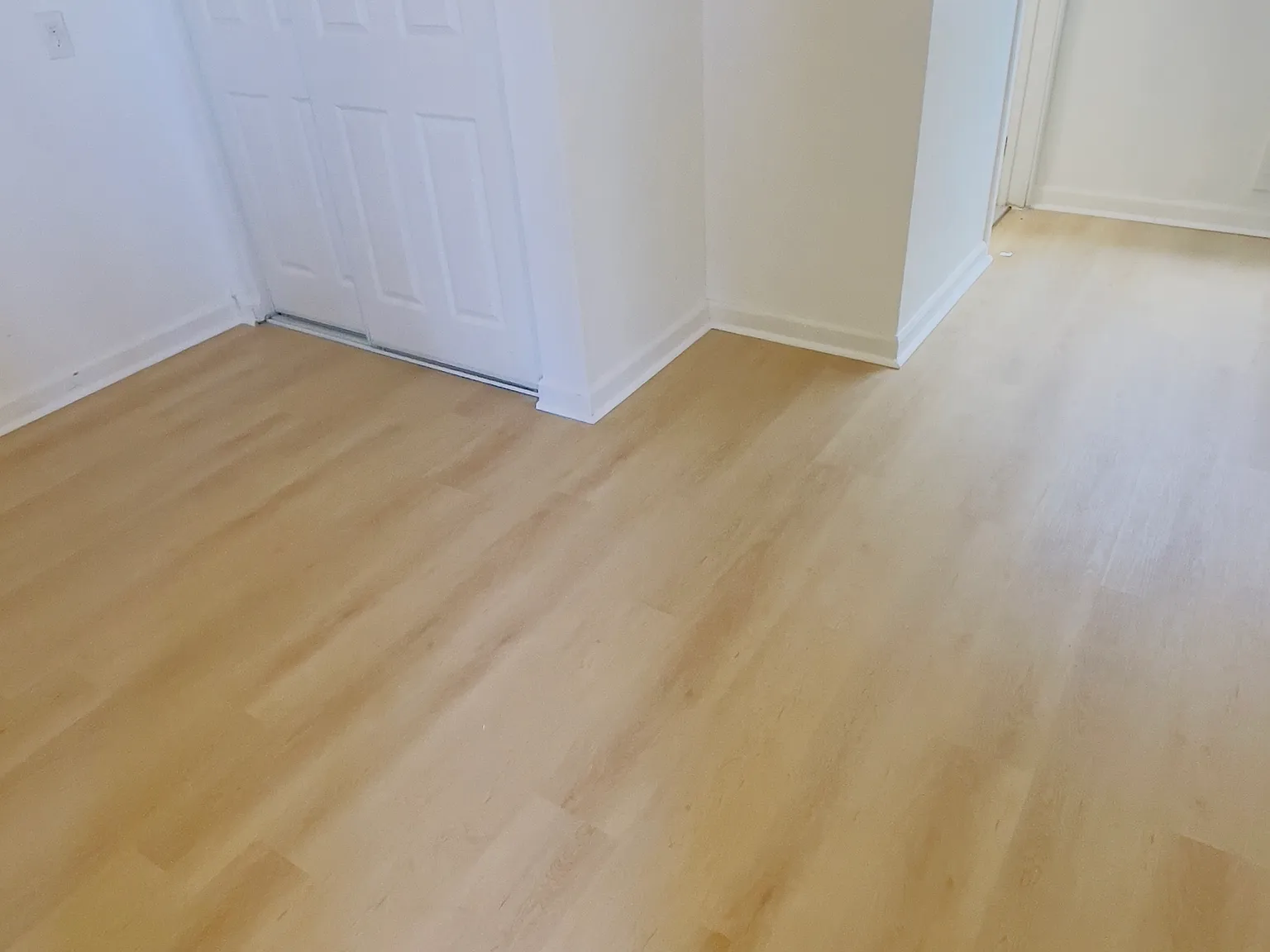 Studio, 350 sqft, $1,150 — Photo 3