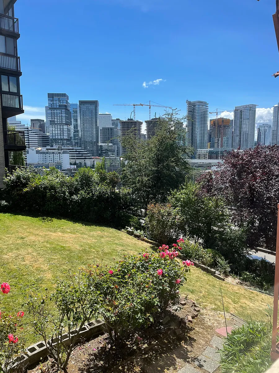 Side yard with large patio and lawn. - The St. Ingbert Apartments