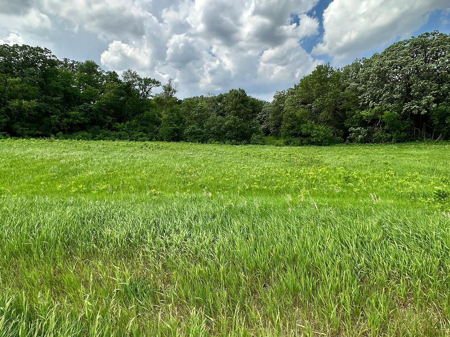 183rd St, Barrett, MN 56311 MLS 6381383 Zillow