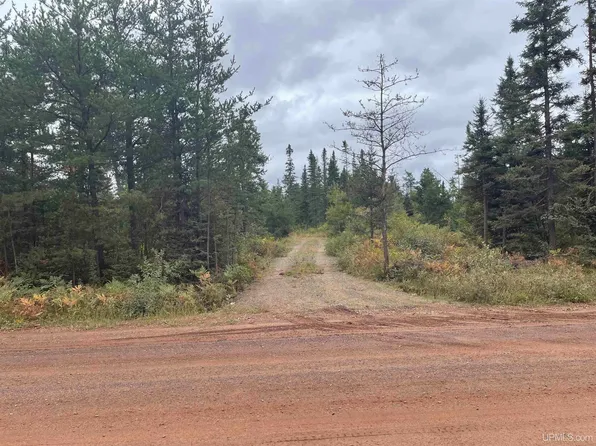 80/ACRE S County Road Fx, Champion, MI 49814