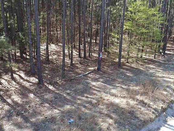 5th image of Freeman Rd Lot C