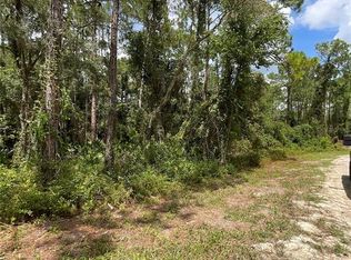Octavia Ln LOT 20-21, Webster, FL 33597