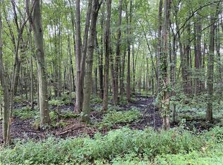 0 Culver Rd #56, Albion, NY 14411