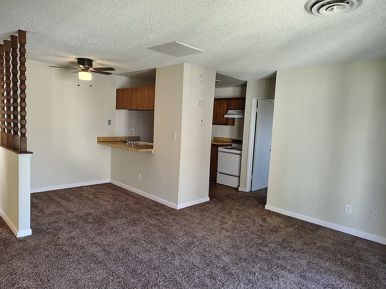 2401-12 Christmas Tree Ln #13 — Photo 18