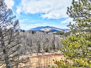 60 Antelope View Ln, Lake George, CO 80827