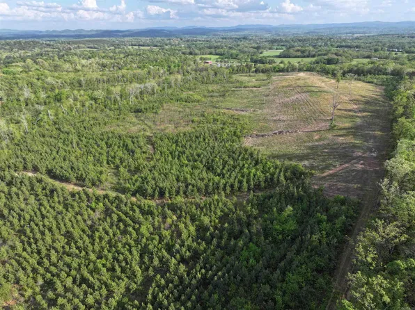 (undisclosed Address), Mena, AR 71953