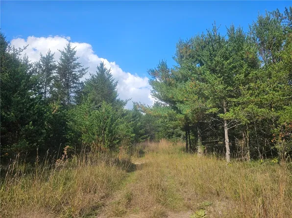 26912 Marias Way, Webster, WI 54893