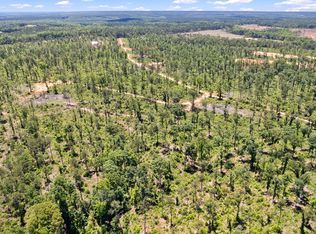 1382 Hopewell Rd, Forsyth, GA 31029