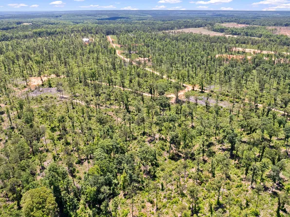 1380 Hopewell Rd, Forsyth, GA 31029